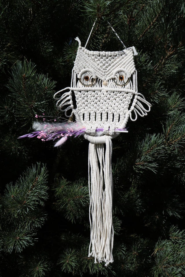 HEDWIGE ~ Hibou