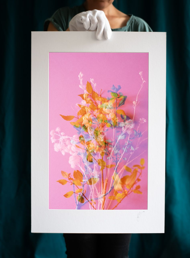 Fleurs éternelles - 10