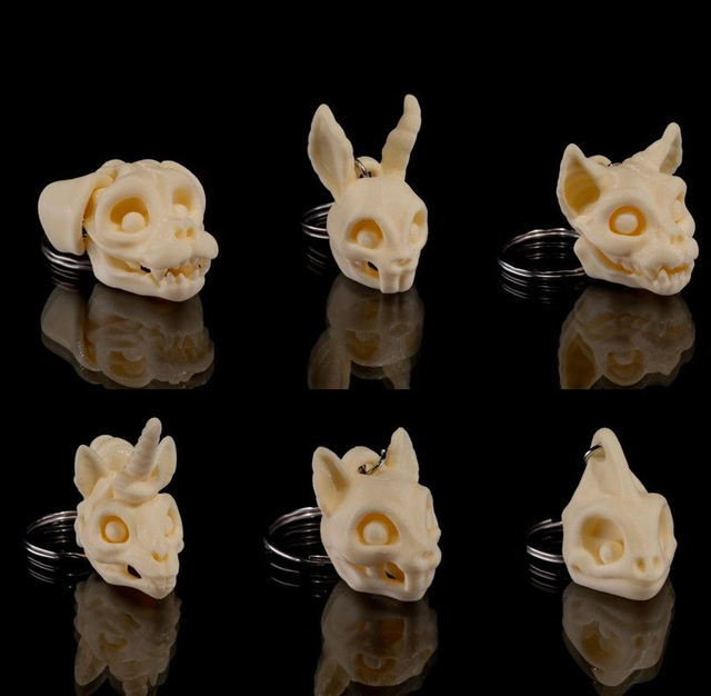 Compagnons squelettes (partie 1)