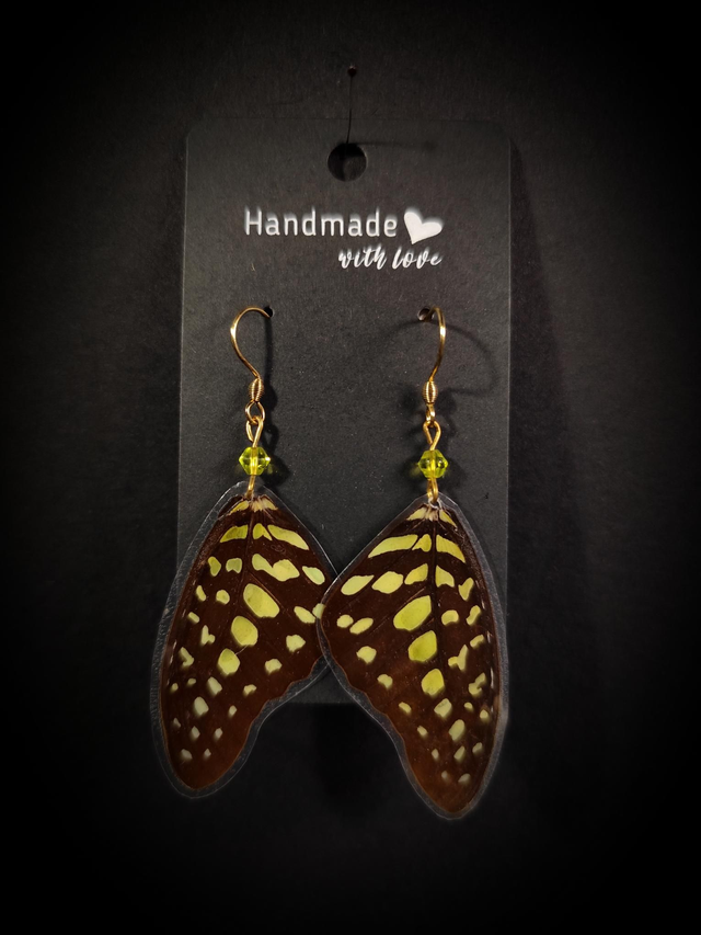 Boucles d&#039;oreilles ailes de papillon