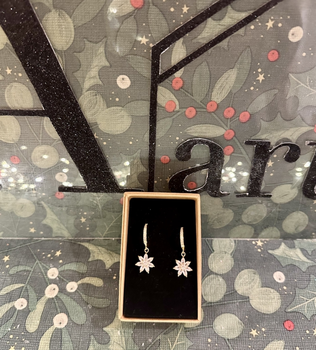 GOLD PLATED EARRINGS2