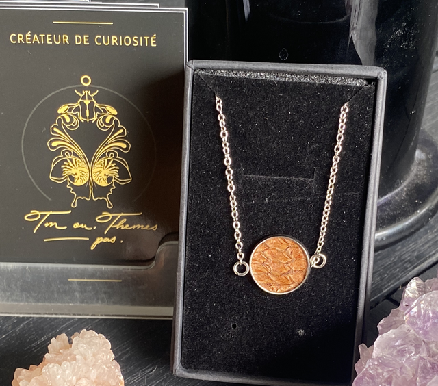 Bracelet et cuir de tilapia teinté