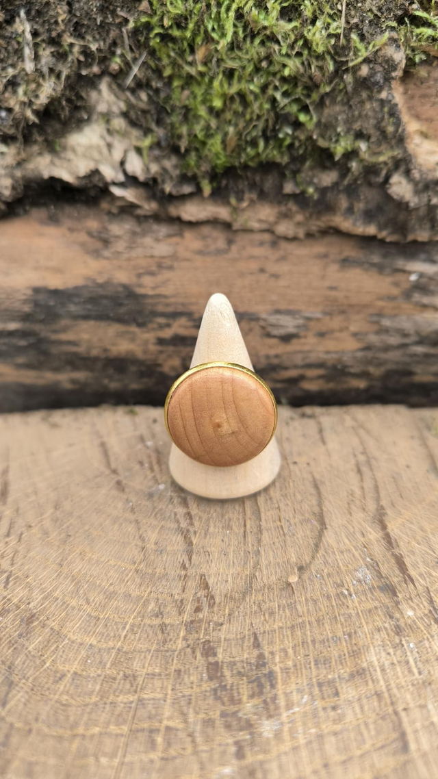 Saule - 20mm - 240168