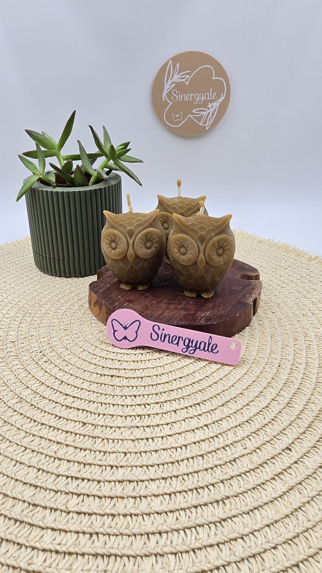 Vela de  miel - Búho pequeño