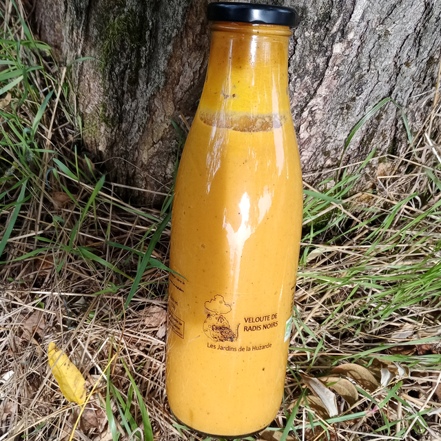 Velouté de Radis noir