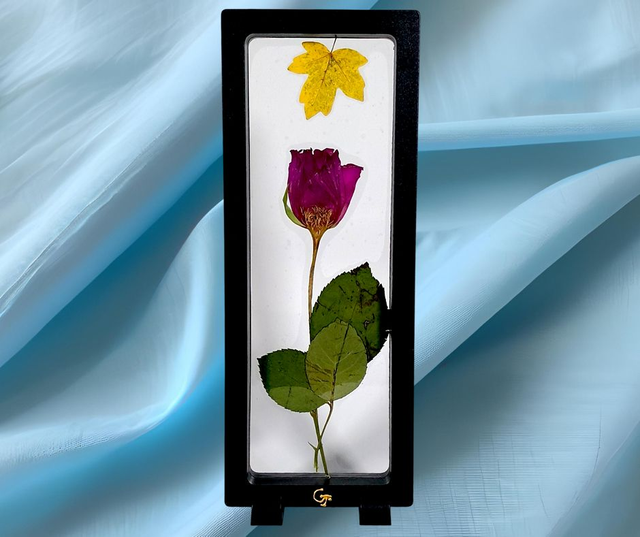 Petit Cadre a Posé 9 x 24 🌺 &quot;Éclat Bloom&quot;