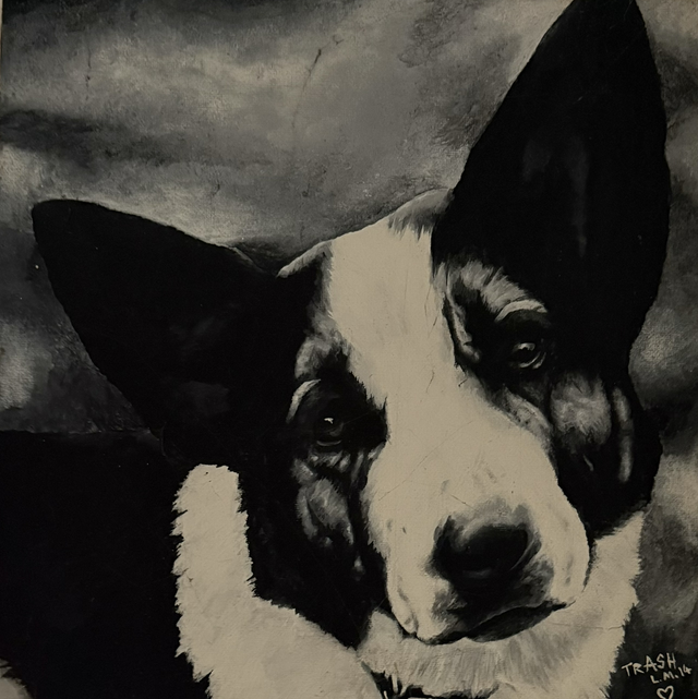 Border Collie B&amp;W Limited Edition Print 