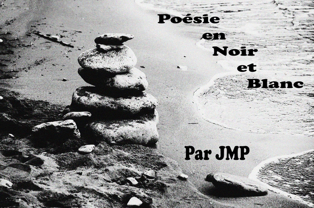 17 - Poésie en noir et blanc