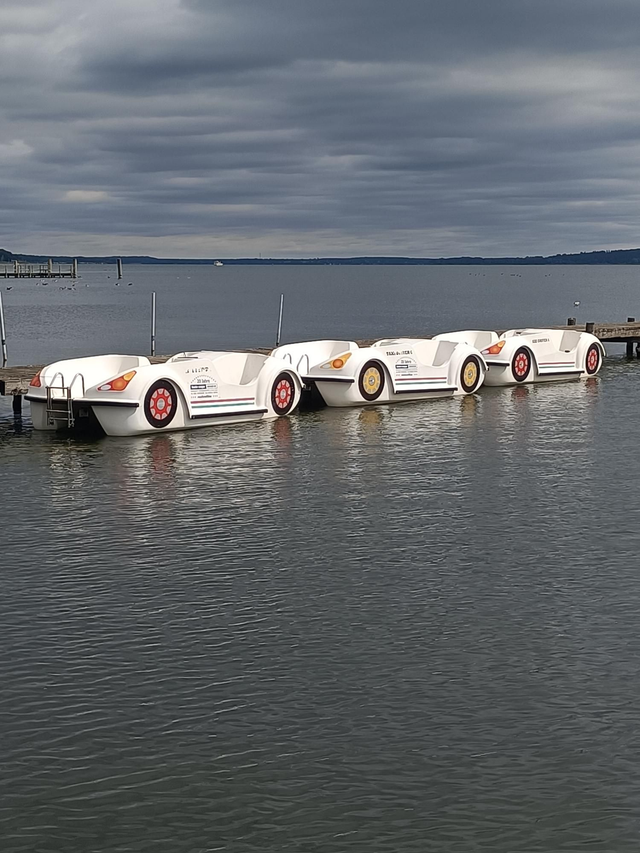 Tretboot 1std