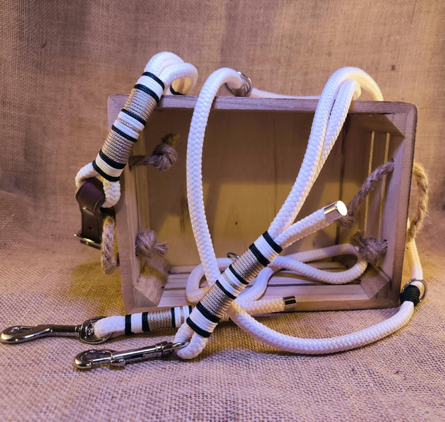 🤍 Collier &amp; Laisse “Douceur d'Ivoire” 