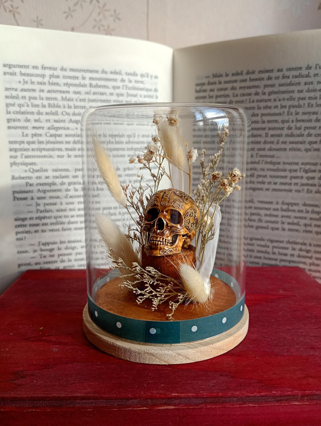 D11 mini crâne blanc