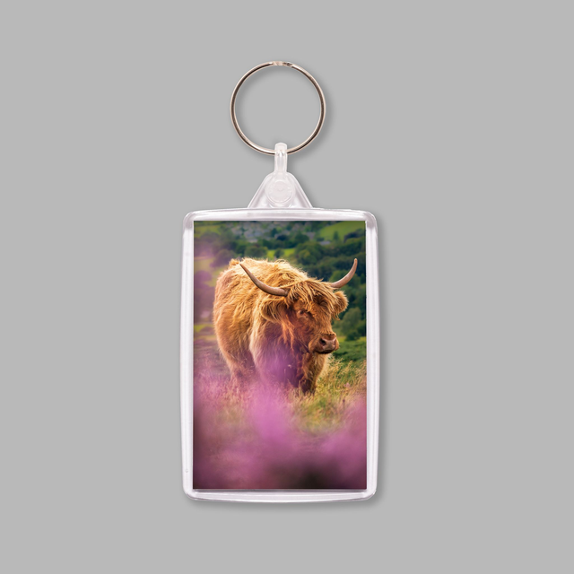 Highland Heather, Peak District