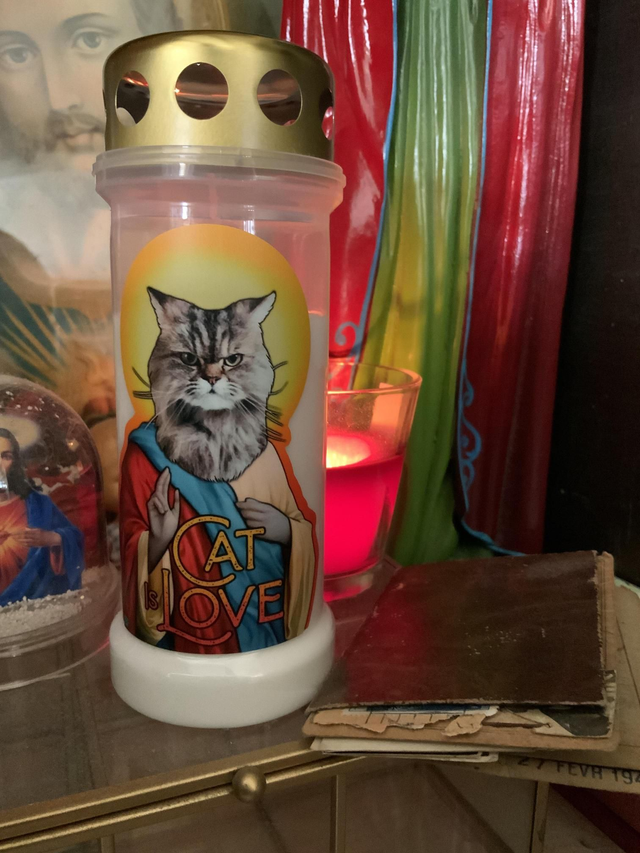 Cat is love grande bougie