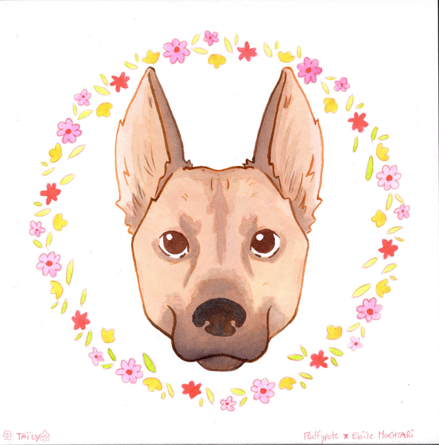 Taily – Œuvre originale solidaire