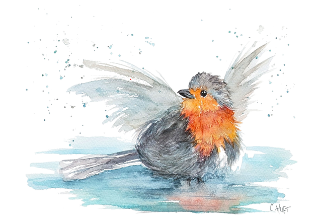 Tableau original à l'aquarelle rouge-gorge qui se baigne, 15*19 environ