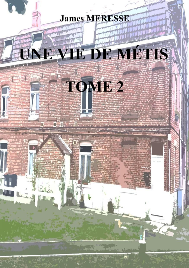 Une vie de métis tome 2