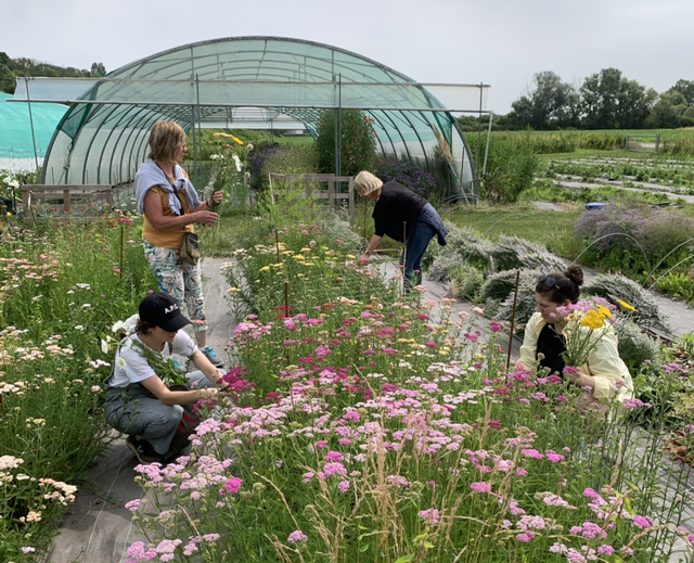 Atelier floral au champ Bouquet Champêtre