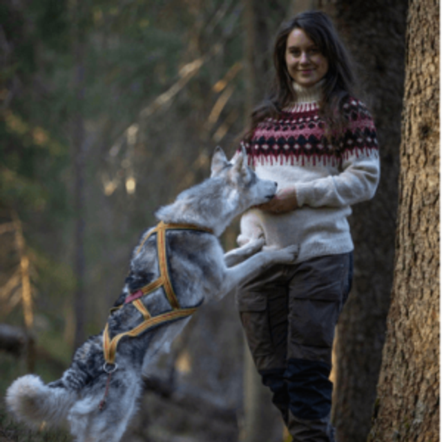 Føyka Tynn Lightweight Sweater Kit - Col 02 (White Sol and Tinde) - Wool & Pattern - Linka Neumann