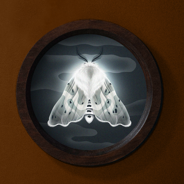 Cadre "Prince de la Nuit"