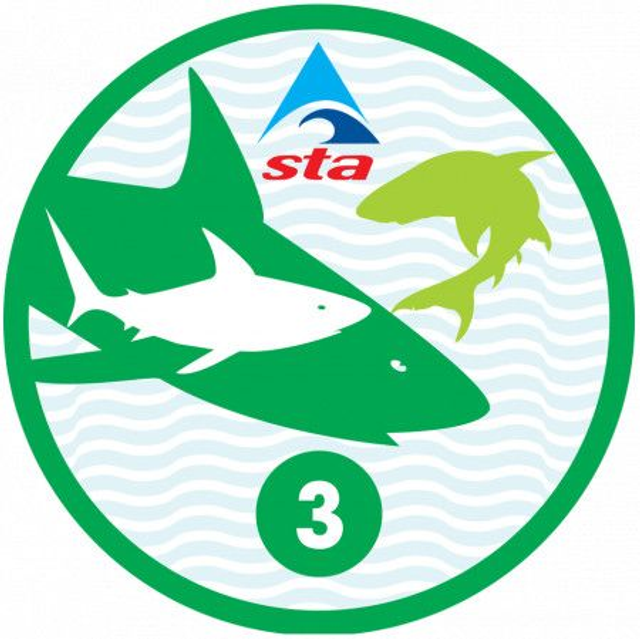 Shark 3 - Certificate with Badge