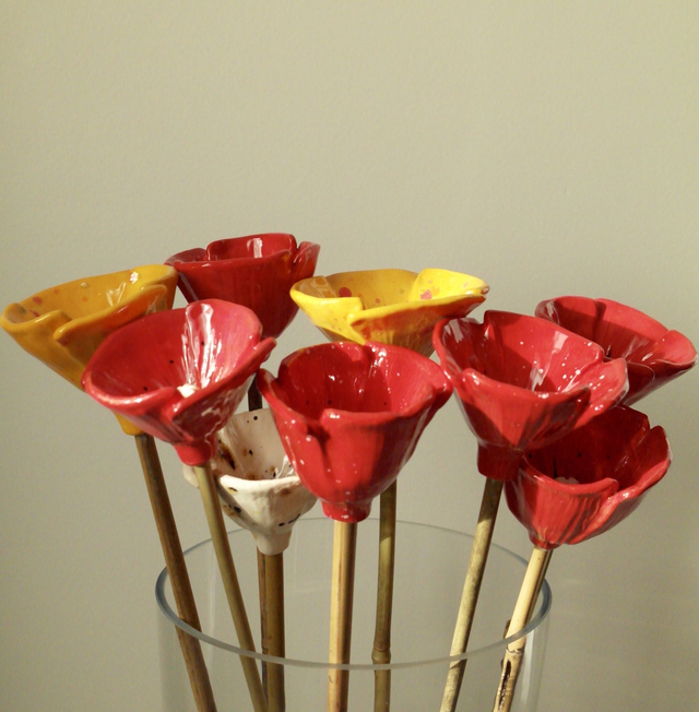 Grand coquelicot sur tige