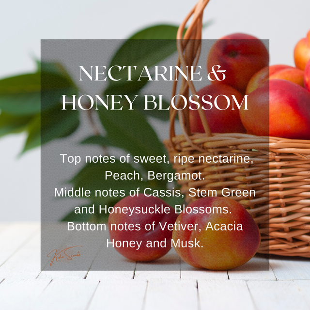 Nectarine & Honey Blossom (JM) Wax Melt Snapbar