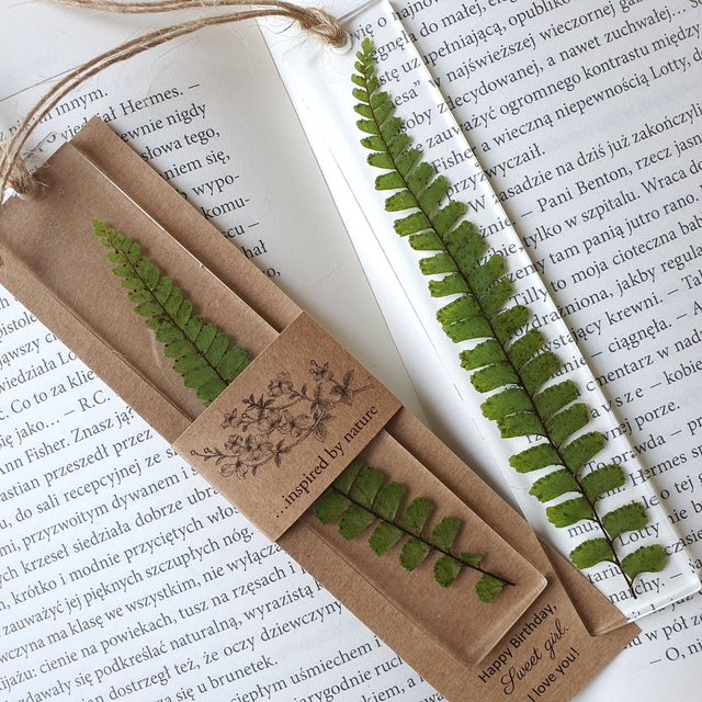 Zakładka z paprocią