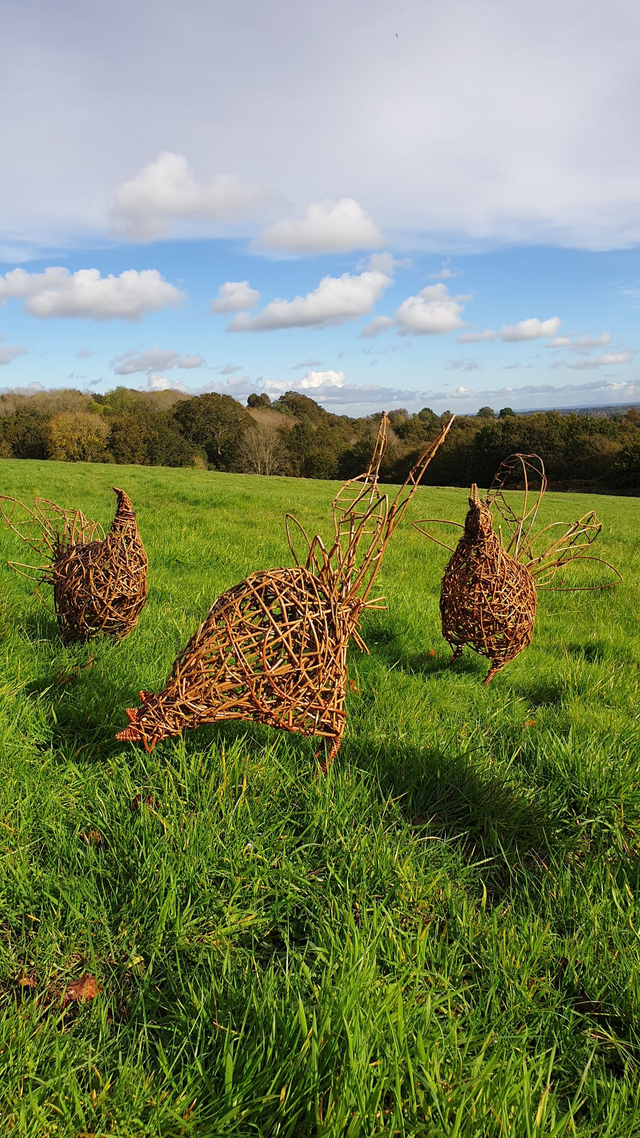 66 Chicken Willow Sculpture Monday 09 March 2026 10:00 to 15:30 Judith Needham