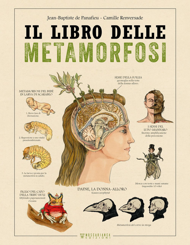 De Panafieu Jean-Baptiste - Il libro delle metamorfosi