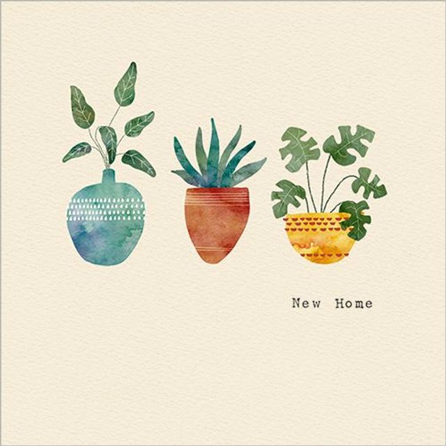 Three Pot Plants (New Home)