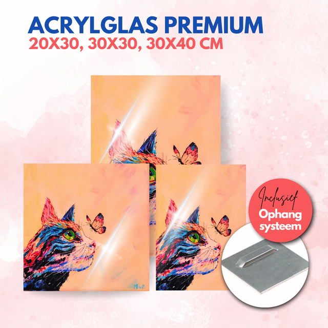 Kat met vlinder | Acrylglas premium