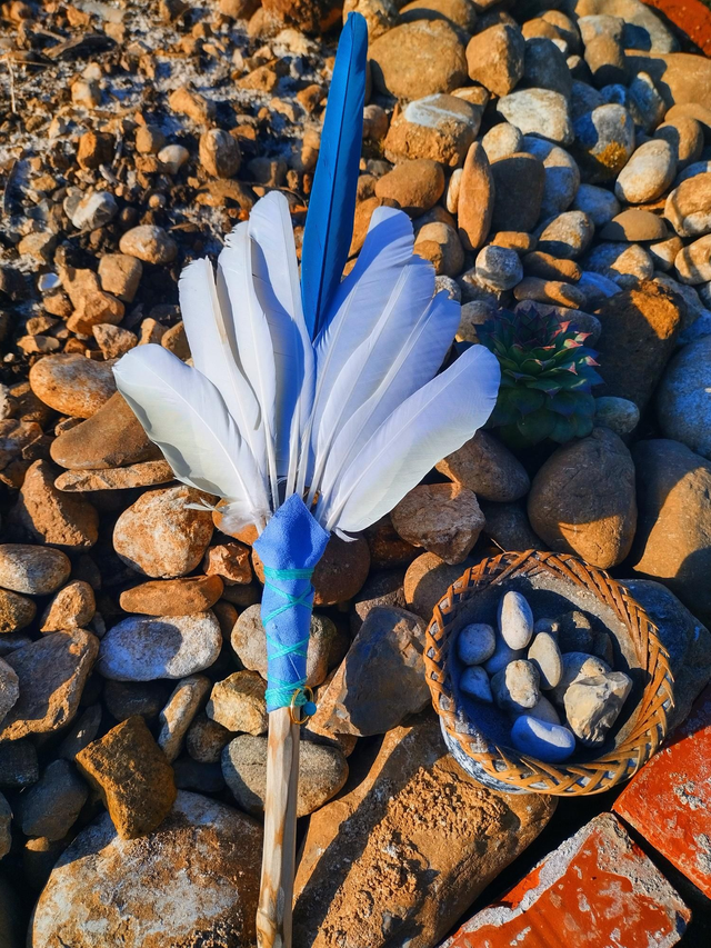 Cacatua, Ventaglio Sciamanico, Healing Fun