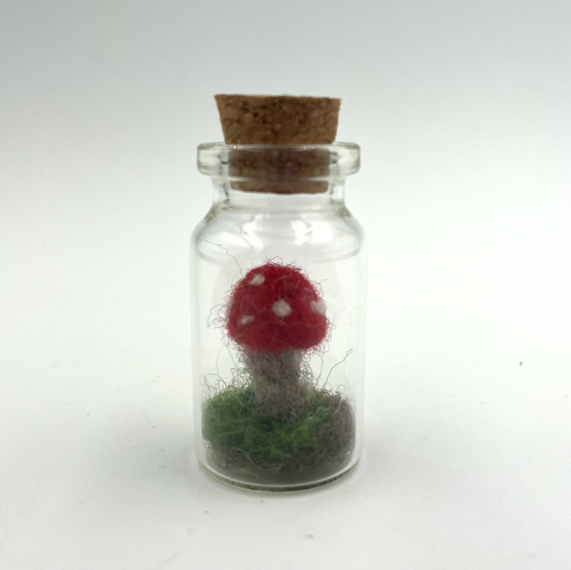 Micro Felted Toadstool in a Bottle