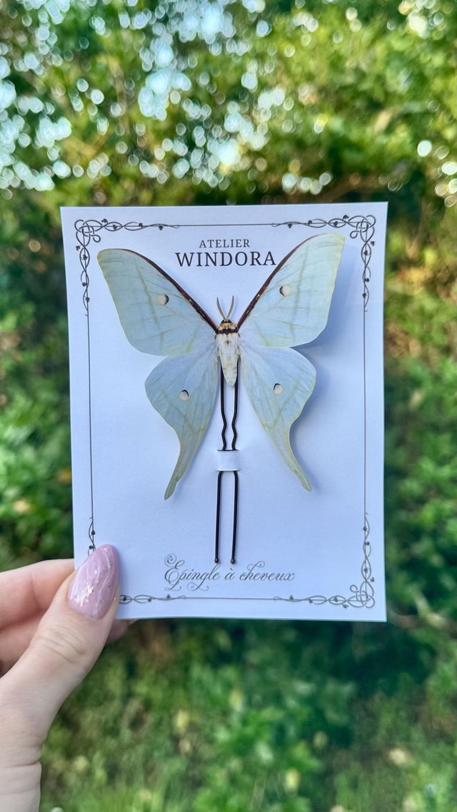 1 Large Épingle à cheveux Papillons | Vert