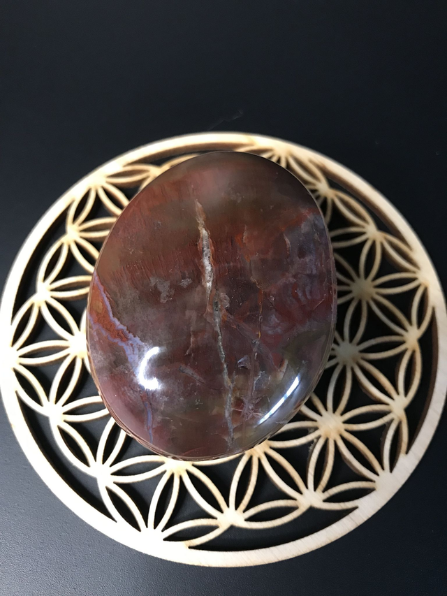 BOIS FOSSILISE - Galet 1 [Madagascar]