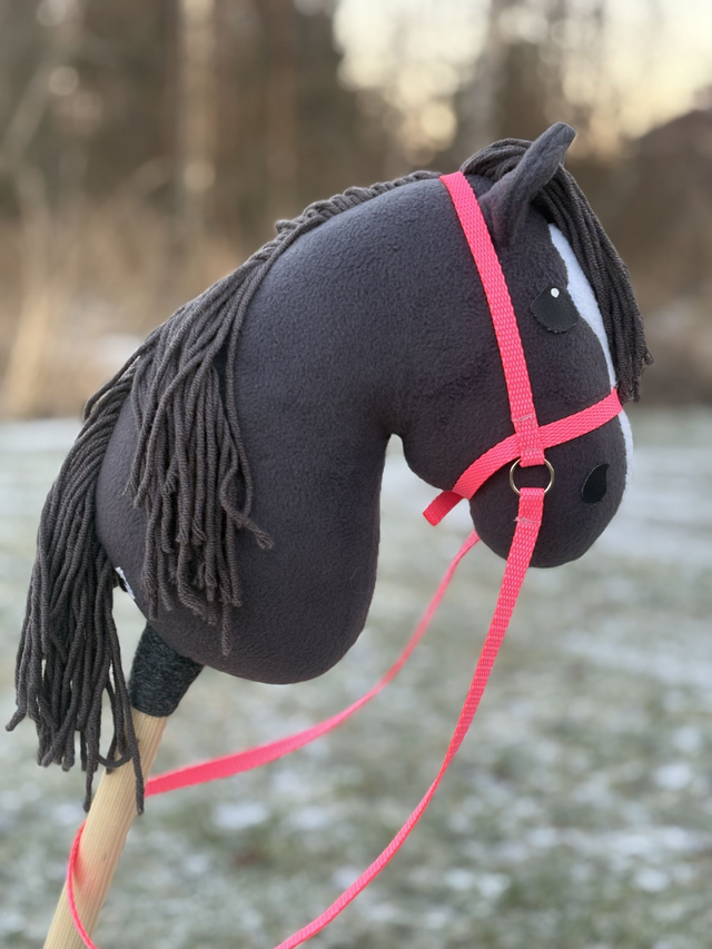 Tummanharmaa keppiponi