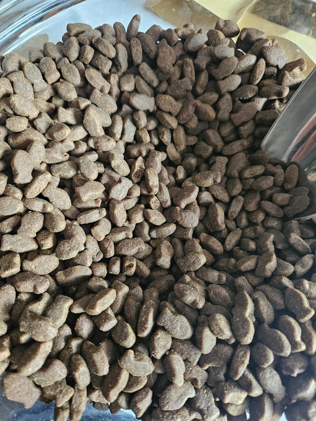 FISH .Salmon, Trout  Bites. Training treat