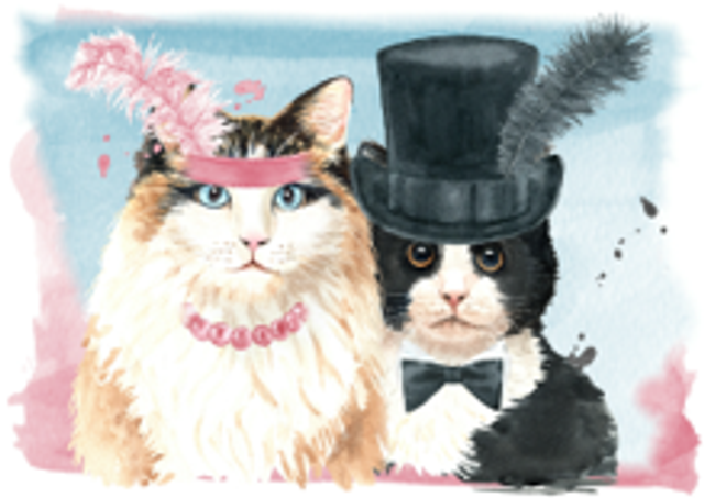Hand made Cards - Dressed Up Cats