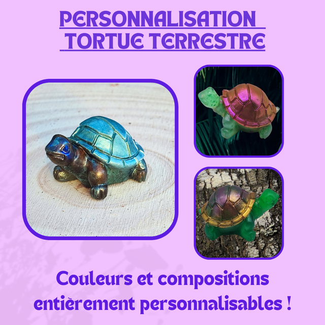 Personnalisation Tortue Terrestre 