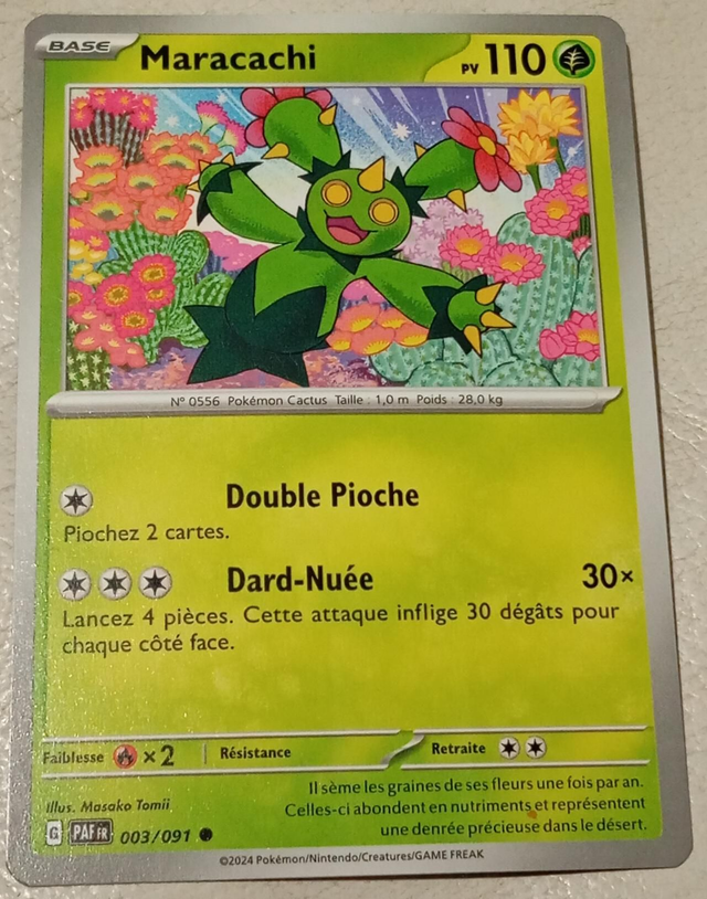 Carte pokémon Maracachi