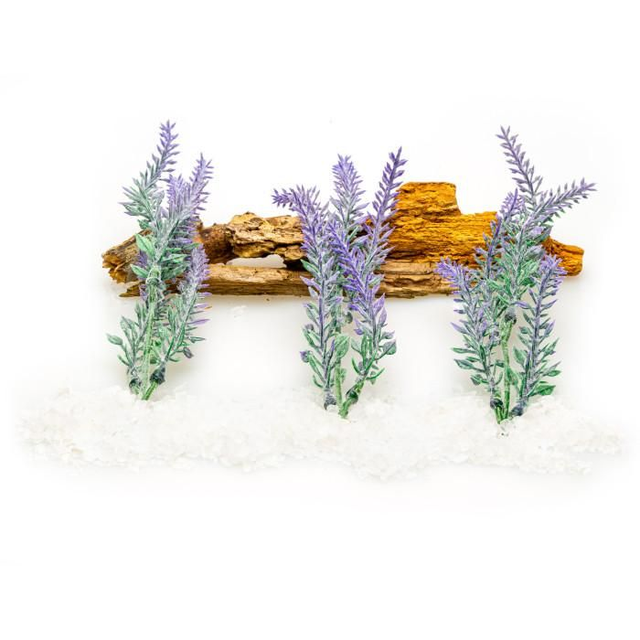 Heavenly Cedar & Salted Lavender 