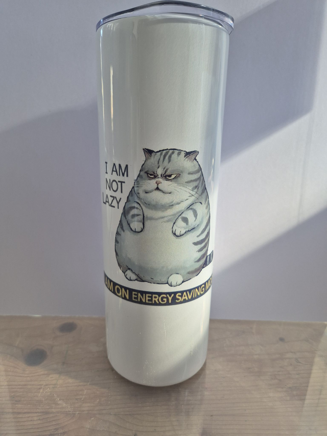 I am not lazy
