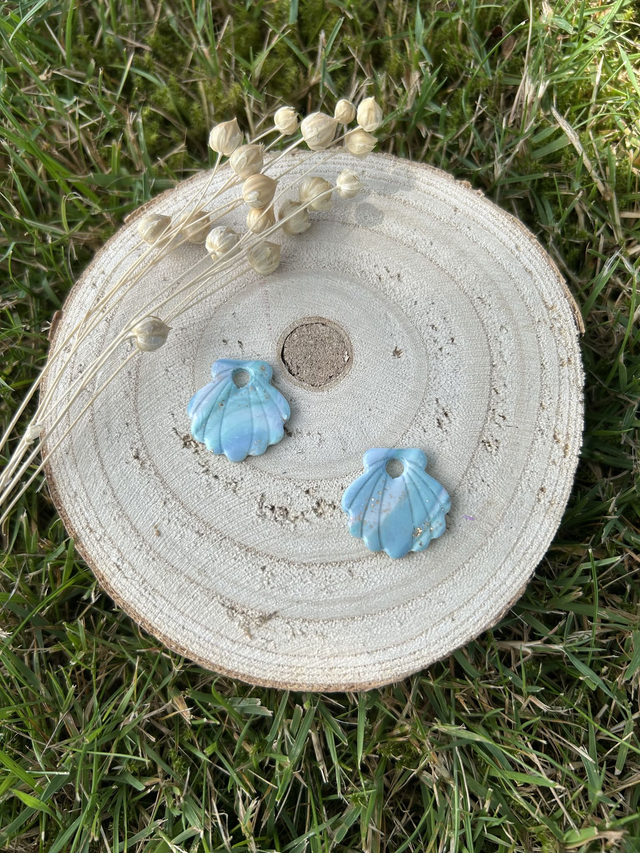 Pampilles St Jacques nuance de bleu 