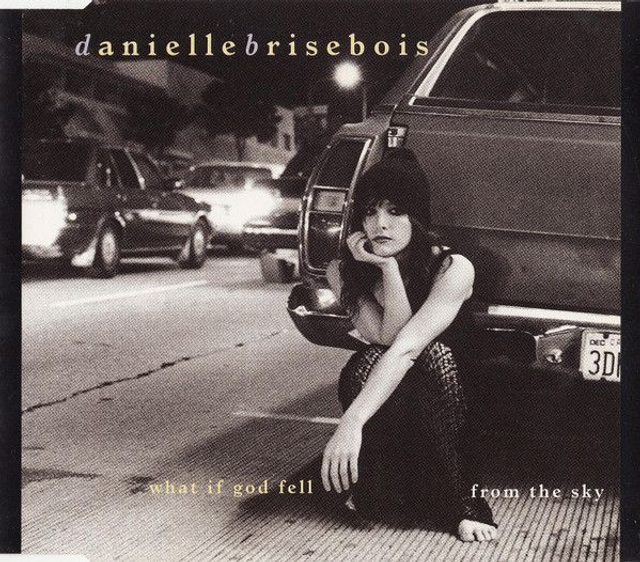 Danielle Brisebois ‎– What If God Fell From The Sky Audio CD