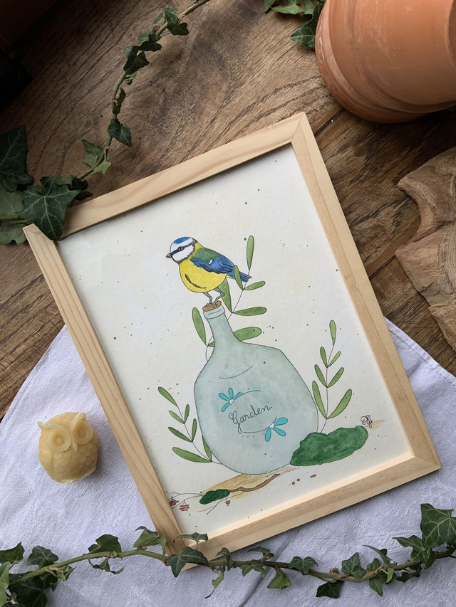 « Mésange curieuse »