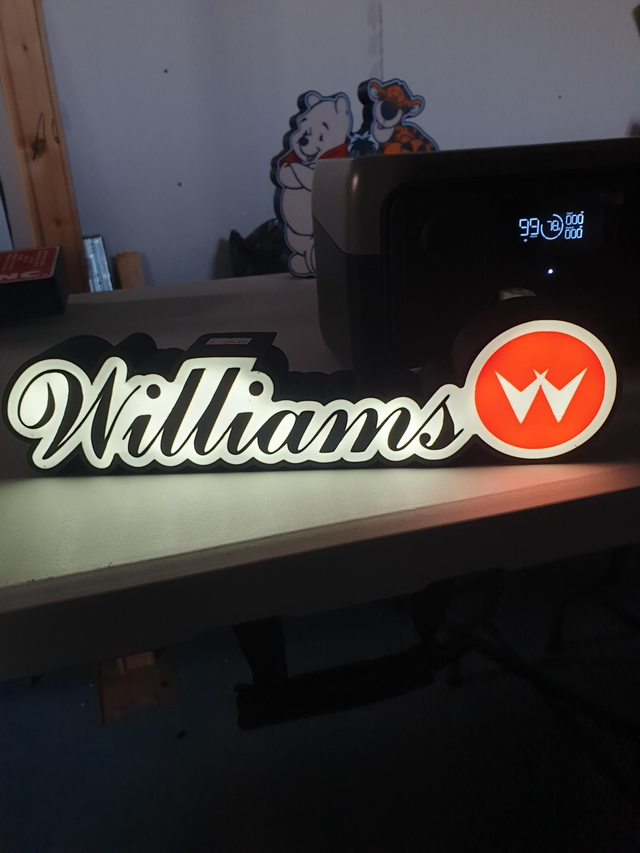 Lampe Williams flipper