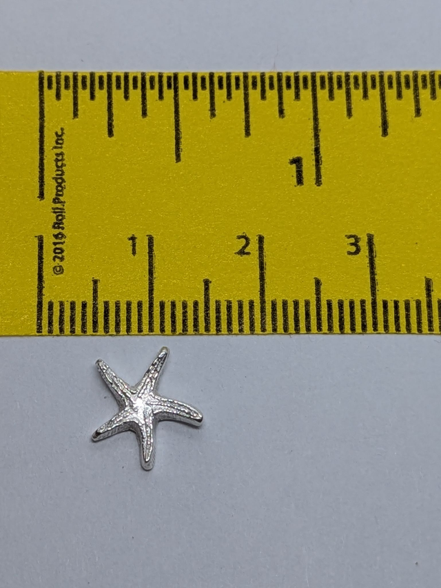 Large Starfish Earrings