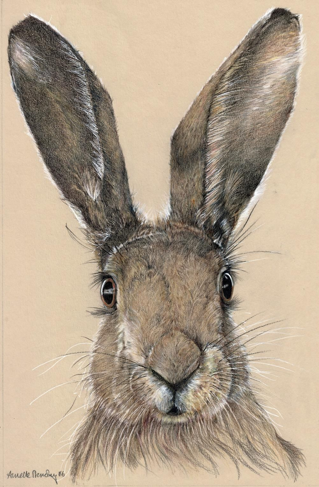 Hare Today ...original SOLD 