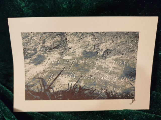 Gravée dans la pierre Paimpont