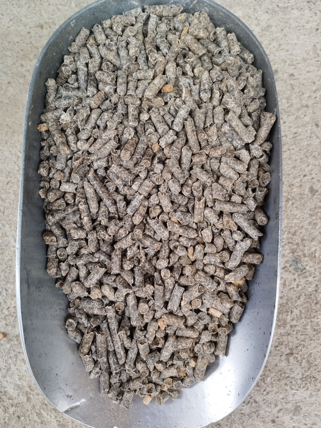Pulpe de betterave en pellet 25kg